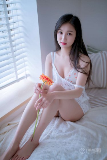 凡尔纳的作品